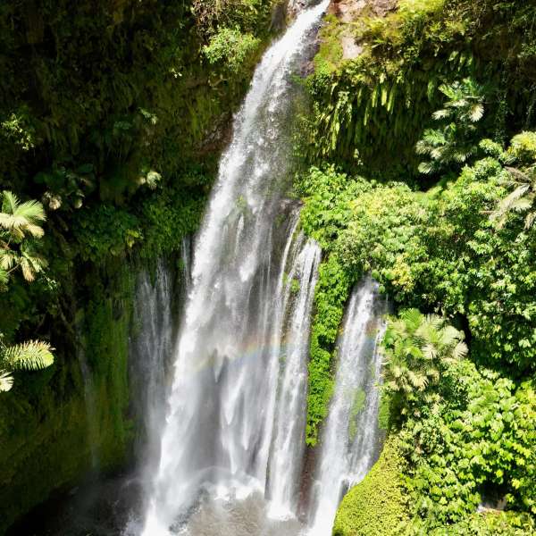 pexels-holger-raukamp-83042-34546192